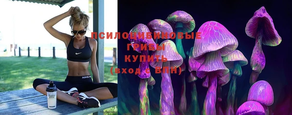 соль ск Абинск