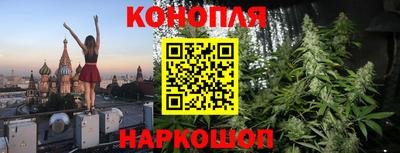 эйфоретик Гатчина