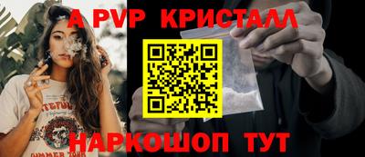 спиды Гагарин