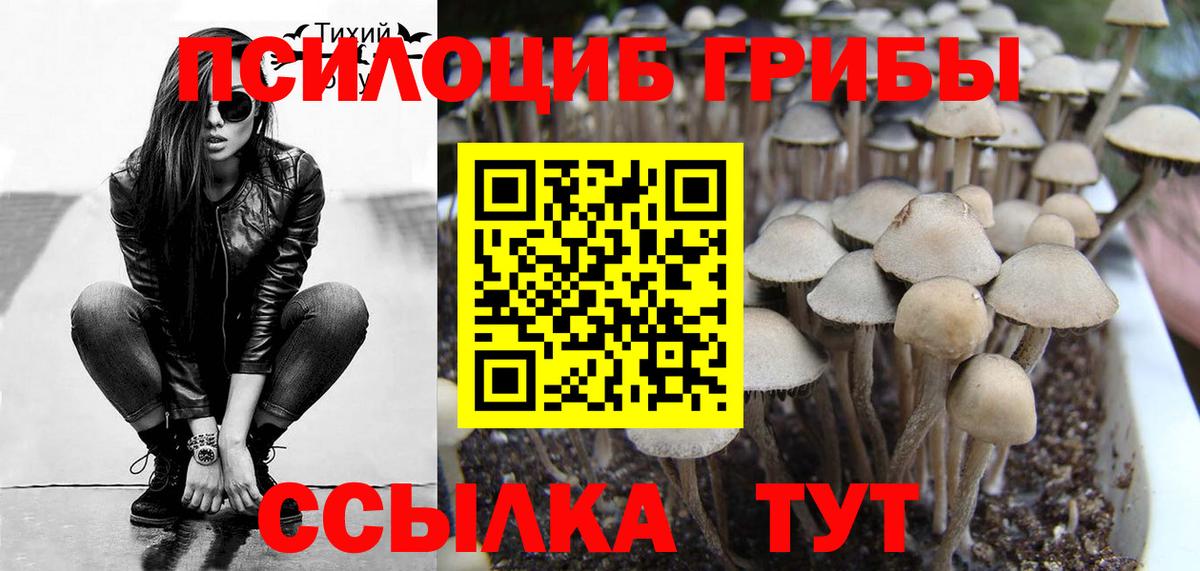 Галлюциногенные грибы MAGIC MUSHROOMS Майский