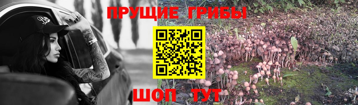 Псилоцибиновые грибы ЛСД  Вход с VPN  купить наркоту  Майский 